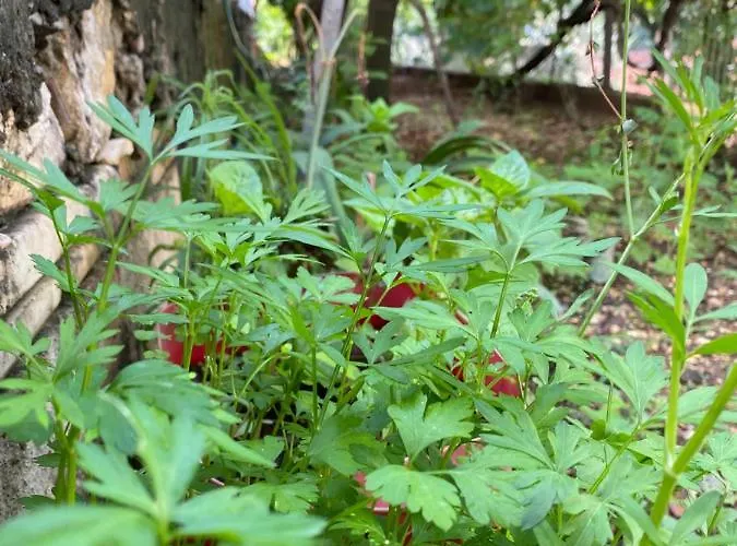 Marl's Casa de Férias